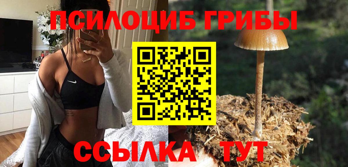 Кизляр  Галлюциногенные грибы Cubensis  Вход с VPN 