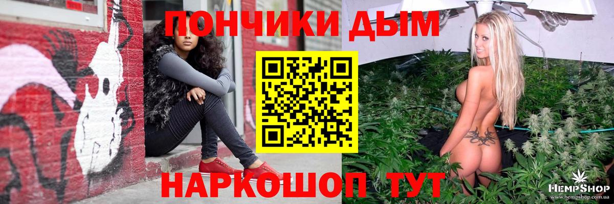Марихуана сатива Кизляр